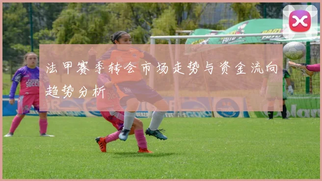 法甲赛季转会市场走势与资金流向趋势分析