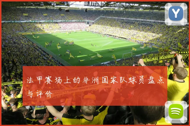 法甲赛场上的非洲国家队球员盘点与评价