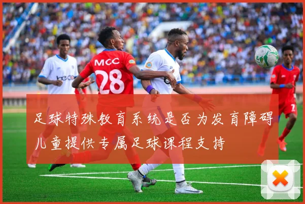 足球特殊教育系统是否为发育障碍儿童提供专属足球课程支持