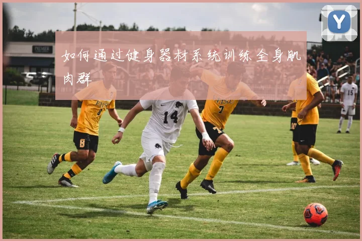 如何通过健身器材系统训练全身肌肉群