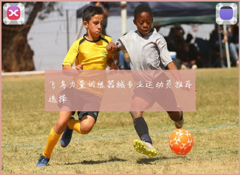 飞鸟力量训练器械专业运动员推荐选择