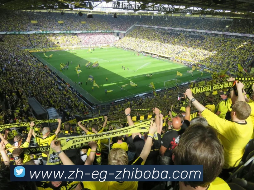 直播8APP 封面图